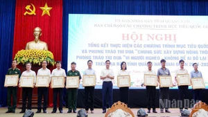 Trao khen thưởng cho 197 tập thể, cá nhân, hộ gia đình.