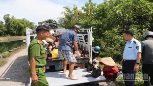 Lực lượng chức năng tỉnh Quảng Nam thu gom các sản phẩm nước mắm bị vứt bỏ để phục vụ công tác điều tra.