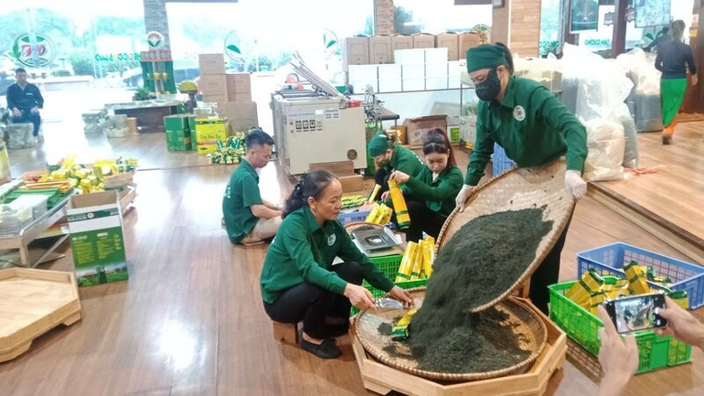 Hợp tác xã Chè Hảo Đạt ở xã Tân Cương kỳ vọng các chính sách của tỉnh Thái Nguyên sẽ là "cú huých" phát triển ngành chè. rsz-1hao-dat.jpg