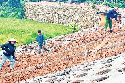 Công nhân Công ty TNHH tư vấn đầu tư và xây dựng Lâm Phúc thi công mái đập hồ chứa Trại Lần.