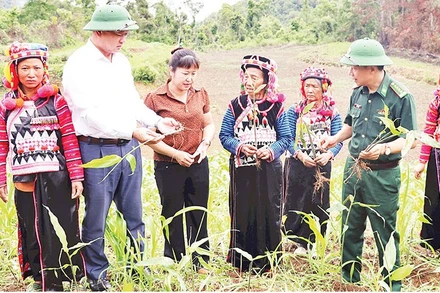 Cán bộ Bộ đội Biên phòng, Ủy ban Mặt trận Tổ quốc Việt Nam tỉnh Điện Biên hướng dẫn bà con bản Tả Ló San cách trồng, chăm sóc cây sa nhân.