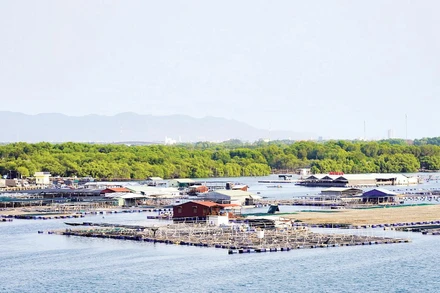 Rừng ngập mặn ở xã Long Sơn và các bè nổi nuôi trồng thủy sản trên sông Chà Và.