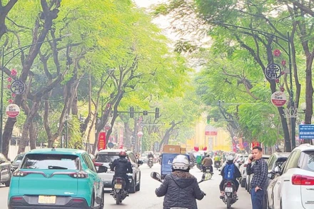 Phố Lý Thường Kiệt, Hà Nội.