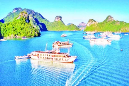 Thành phố Hải Phòng đang thực hiện “đột phá chiến lược” trở thành trung tâm du lịch biển, văn hóa và di sản tầm khu vực, quốc tế. Trong ảnh: Tàu du lịch trên vùng biển Quần đảo Cát Bà. (Ảnh ĐỨC NGHĨA)
