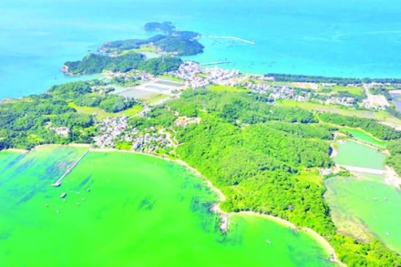 Khu Bảo tồn biển Cô Tô-Đảo Trần có tổng diện tích 18.414,92 ha. (Ảnh NGÔ TRẦN HẢI AN)