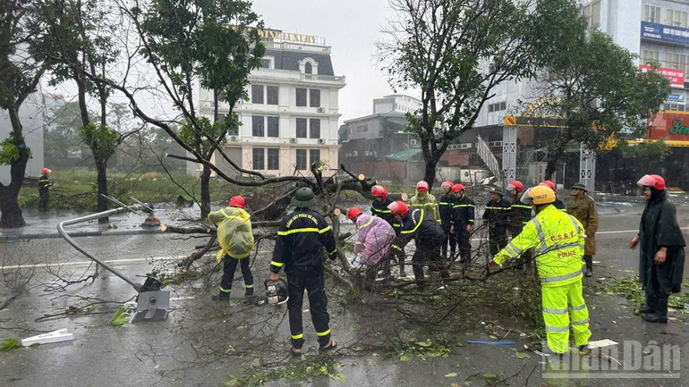 Sau bão, lực lượng Công an Nghệ An cùng các đơn vị liên quan tỉa cây xanh bị đổ, kéo cột điện gãy và dọn dẹp các vật liệu ngổn ngang để khôi phục trật tự giao thông. ndo_br_cong-an-nghe-an-4.jpg