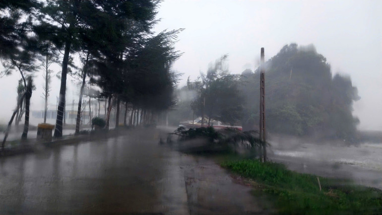 Cây cối ở đảo Lan Châu- Song Ngư (Nghệ An) trong mưa bão. (Ảnh TRUNG HIẾU) bao-vao-ha-tinh.jpg