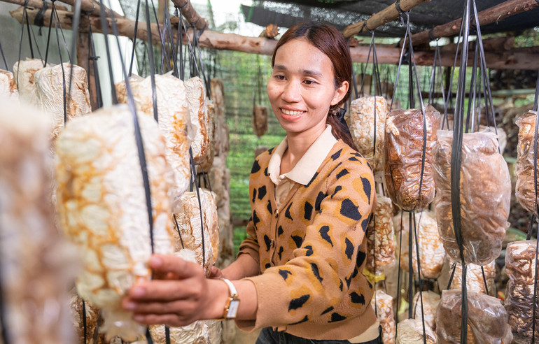Phụ nữ tham gia dự án “Tôi vui gieo” của CARE Việt Nam thúc đẩy các thực hành nông nghiệp bền vững, nâng cao năng suất và hỗ trợ sinh kế. (Ảnh: CARE ) phu-nu-tham-gia-lam-nam-trong-du-an.jpg