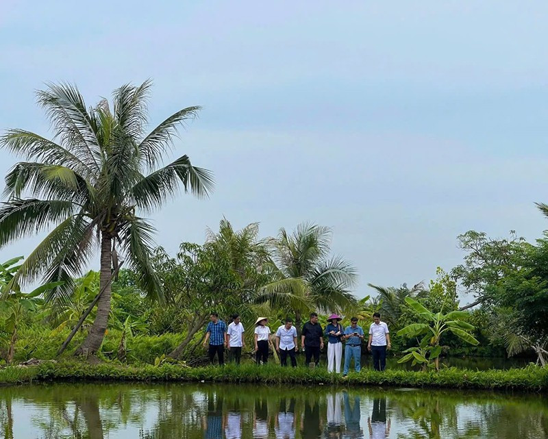 Hiện trạng bãi cọc Đồng Má Ngựa, phường Phong Cốc, tỉnh Quảng Ninh. baicoc2.jpg