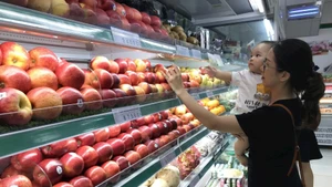 Thực phẩm có nguồn gốc xuất xứ rõ ràng, được bảo quản một cách khoa học sẽ là sự lựa chọn của những người tiêu dùng thông minh. Ảnh: Thế Đại