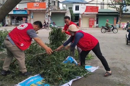 Hội Chữ thập đỏ tỉnh Hà Tĩnh khắc phục hậu quả do bão số 5 gây ra. 