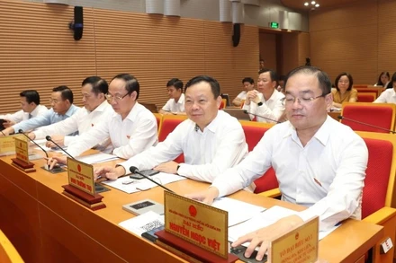 Các đại biểu Hội đồng nhân dân thành phố biểu quyết thông qua Nghị quyết.