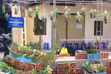 Sân nhà D14 Phương Mai sau khi được cải tạo, trở thành Vườn hoa cộng đồng.