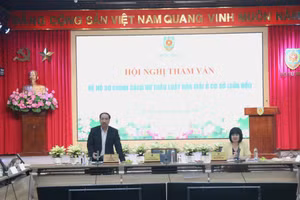 Lãnh đạo Cục Phổ biến, giáo dục pháp luật và Trợ giúp pháp lý trao đổi ý kiến với các chuyên gia tại Hội nghị.