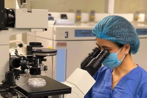 Bác sĩ Viện Mô phôi lâm sàng Quân đội thực hiện kỹ thuật để làm IVF cho bệnh nhân vô sinh, hiếm muộn.