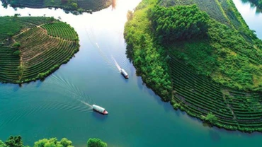 Đồi chè Thanh Chương, điểm du lịch thu hút khách.