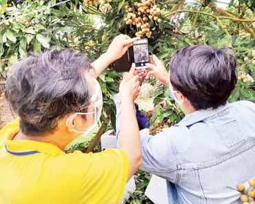 Nhân viên VNPost hướng dẫn người nông dân đưa các mặt hàng nông sản lên sàn thương mại điện tử.