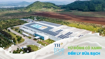 TH true MILK với mô hình "từ đồng cỏ đến ly sữa sạch"