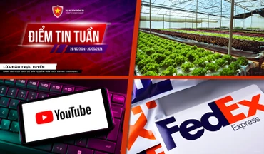 Vạch mặt các chiêu trò lừa đảo qua Shopee, YouTube, thanh toán hộ "nhận hoa hồng"