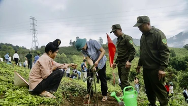 Cán bộ, nhân dân huyện Tuần Giáo trồng cây mắc-ca hưởng ứng lễ ra quân trồng, chăm sóc mắc-ca do Ủy ban nhân dân huyện Tuần Giáo phát động.
