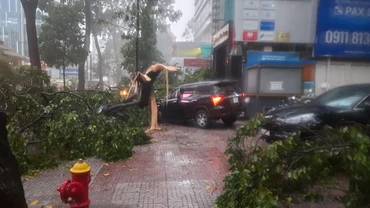 Mưa lớn kèm giông, làm cây xanh ngã đổ, hư hỏng ô-tô trên tuyến đường Phạm Ngọc Thạch, quận 3.