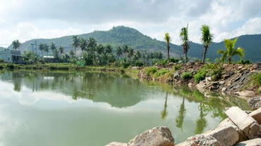 Một số ao, đìa bị bỏ hoang dù đang bước vào vụ mới.