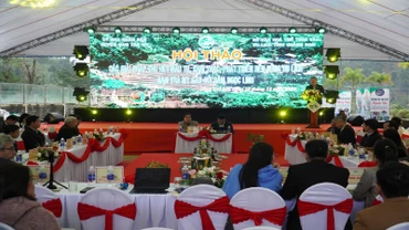 Toàn cảnh Hội thảo các giải pháp thu hút đầu tư, khai thác, phát triển bền vững du lịch Nam Trà My gắn với Sâm Ngọc Linh.