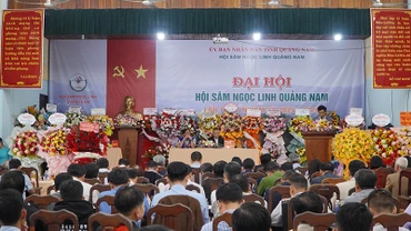 Quang cảnh Đại hội Hội sâm Ngọc Linh Quảng Nam lần thứ nhất, nhiệm kỳ 2024-2029.