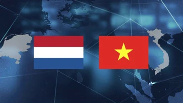 Ảnh minh họa: Internet.