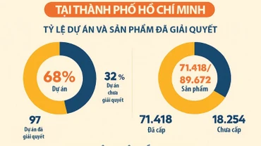 Tiến độ cấp sổ hồng.