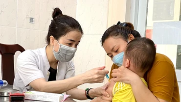 [Video] Nguy cơ bùng phát dịch sởi, cần khẩn trương tiêm vaccine phòng bệnh