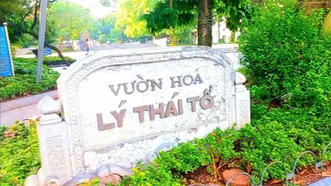 [Video] Hà Nội không chặt hạ cây cổ thụ tại vườn hoa Lý Thái Tổ
