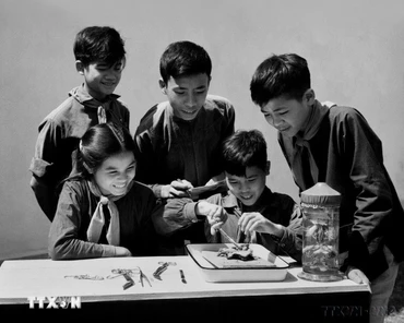[QUIZ] Vang xa "Tiếng trống Bắc Lý”