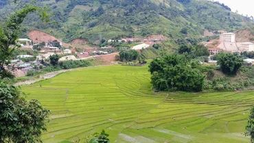 Cánh đồng lúa nước của đồng bào Cơ Tu ở xã A Xan, huyện miền núi Tây Giang, Quảng Nam. (Ảnh: Quốc Việt)