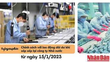  [Infographic] Chính sách mới với lao động dôi dư khi sắp xếp lại công ty Nhà nước