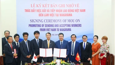 Sẽ tiếp nhận nhiều lao động Việt Nam sang làm việc tại tỉnh Wakayama, Nhật Bản 