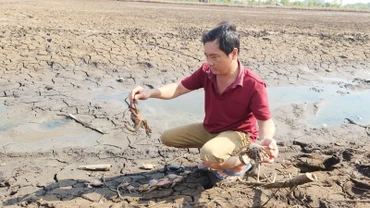 Do nguồn nước ô nhiễm, 12 ha nuôi tôm, cua, cá của ông Huỳnh Văn Kỷ chết hàng loạt, bị thiệt hại tổng cộng 380 triệu đồng. 