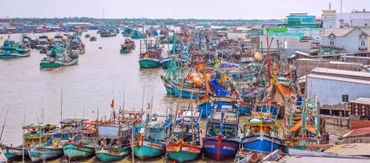 Tàu thuyền đánh bắt xa bờ tại Cà Mau. (Ảnh TTXVN)
