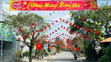 Tuyến đường Lê Trí Viễn (phường Hòa Hương) rực rỡ cờ hoa đón Tết.