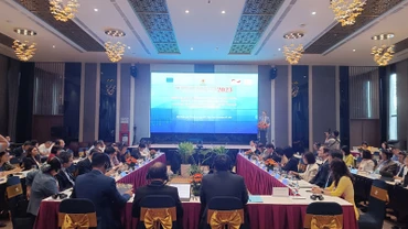 Toàn cảnh diễn đàn.