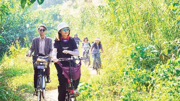 Khám phá môi trường tự nhiên tại bãi nổi sông Hồng là thú vui được nhiều người ưa thích.