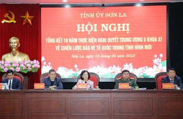 Đồng chí Trương Thị Mai, dự và chỉ đạo hội nghị tổng kết 10 năm thực hiện Nghị quyết Trung ương 8, khóa XI.