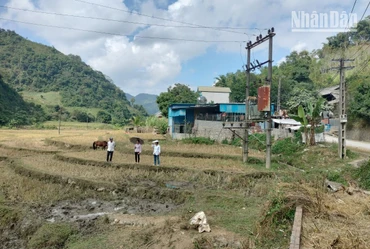 Vị trí xây dựng Cửa hàng xăng dầu có hành lang lưới điện chạy bên trên.