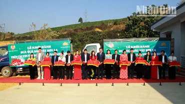 Các đại biểu cắt băng khởi hành đưa quả dâu tây Sơn La lên các chuyến bay của Vietnam Airlines.