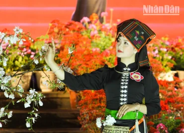 [Ảnh] Sôi động Lễ hội hoa ban thành phố Sơn La