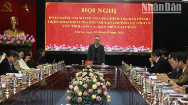 Hội nghị công bố Quyết định kiểm tra của Bộ Chính trị.