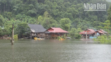 Do ảnh hưởng của bão số 3, mưa lớn đã gây ngập úng tại bản Nam Giáng, xã Chiềng Đen, thành phố Sơn La. (Ảnh: Người dân cung cấp)