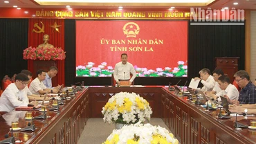 Họp trực tuyến về việc giải quyết những khó khăn, vướng mắc trong thực hiện các dự án bố trí dân cư và các dự án sử dụng nguồn dự phòng ngân sách Trung ương năm 2024.
