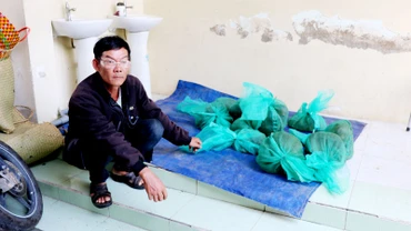 Đối tượng Nguyễn Văn Đề cùng 10 con khỉ đuôi dài, tổng trọng khoảng 20kg. 