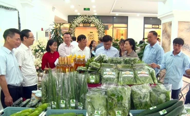Sản phẩm từ mô hình sản xuất nông nghiệp tuần hoàn ở Hà Nam.